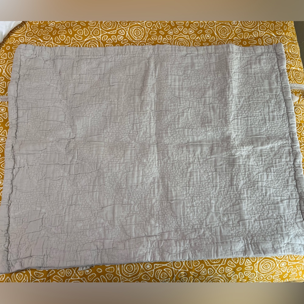 Restoration Hardware Washed Cotton Vintage Standard Pillow Sham